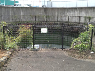 思池親水公園の画像1