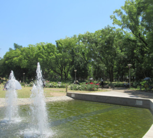 靱公園の画像1