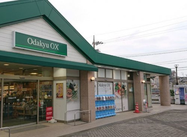 Odakyu OX(オダキュウオーエックス) 栗平店の画像1