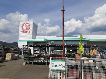 コメリハード&グリーン一の宮店の画像1