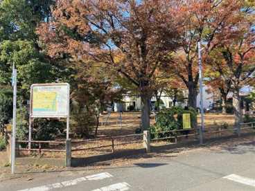 錦町公園の画像2