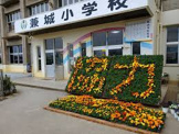 兼城小学校
