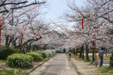牧野公園