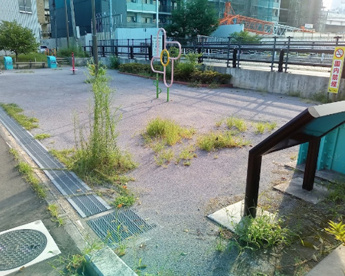 中の堀川児童遊園の画像1