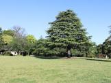 城西公園