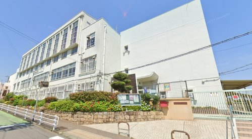 の画像