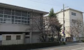 の画像