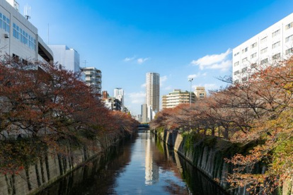 中目黒アトラスタワーの画像2