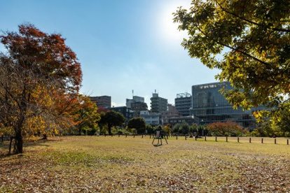 目黒区立中目黒公園の画像1
