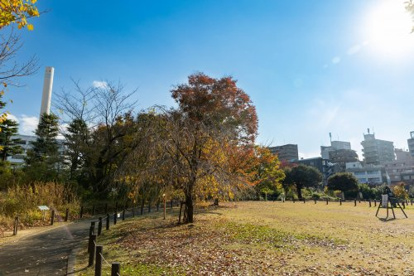 目黒区立中目黒公園の画像2