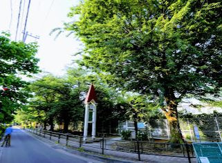 豊玉第三保育園の画像1