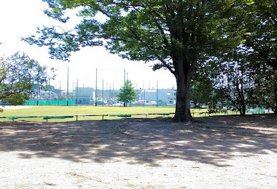 白岡公園の画像1