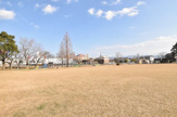 ひまわり公園