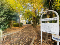 宮前けやき緑地