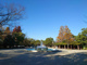 区立行船公園の画像