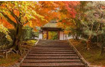 華厳寺(鈴虫寺)の画像1