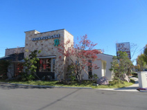 家族のイタリアン 集