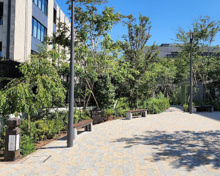 富ヶ谷しだれ桜公園