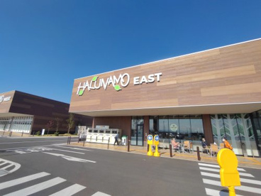 HALUNAMOの画像1
