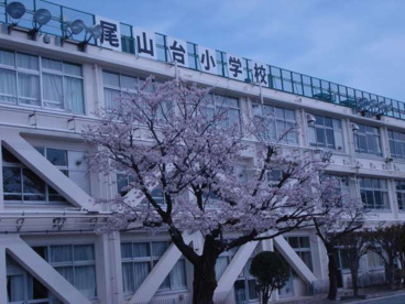世田谷区立尾山台小学校の画像2