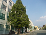 名古屋市立 野並小学校