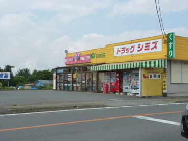 ドラッグシミズ(荒口)の画像1