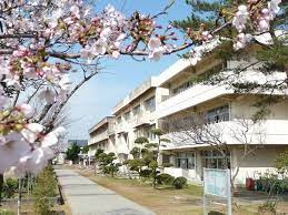 の画像