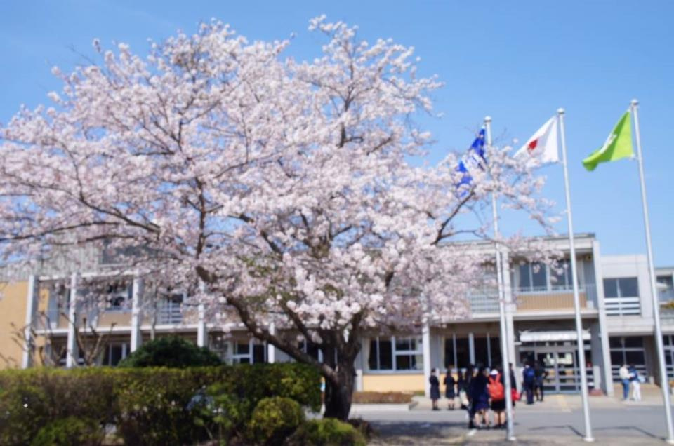 の画像