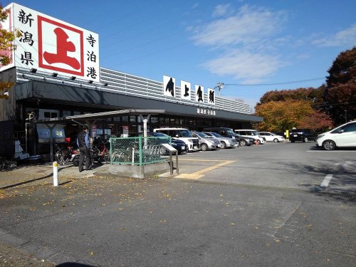 の画像