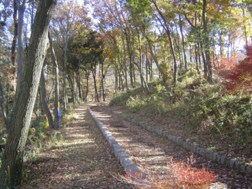 立野緑地の画像1