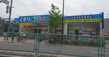 どらっぐぱぱす 新江古田駅前店の画像1