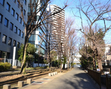 玉川上水旧水路緑道
