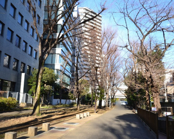 玉川上水旧水路緑道の画像1