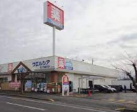 ウエルシア龍ケ崎緑町店