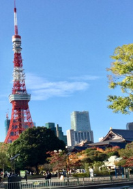 東京タワーの画像1