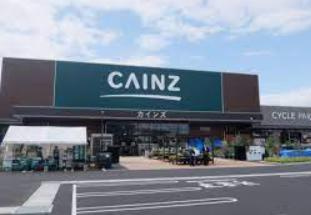 カインズ 龍ケ崎店の画像1