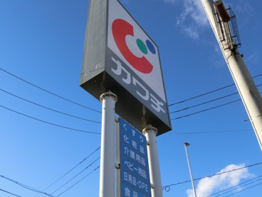 カワチ薬品 古川駅東店の画像1