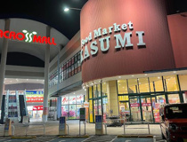 カスミ 松ケ丘店(アクロスモール守谷内)