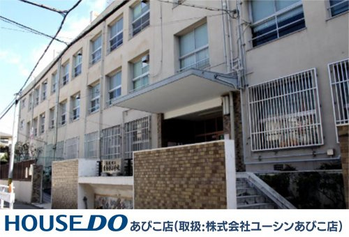 の画像