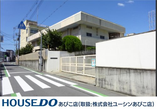 の画像