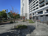 公園 武蔵浦和駅西口広場