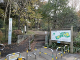 林試の森公園
