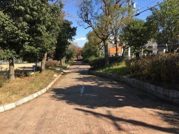 南公園の画像1