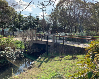 下池の画像1