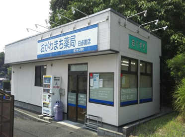 おがわまち薬局 日赤前店の画像1