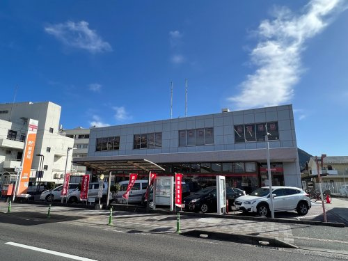 の画像