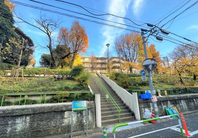 文京区立清和公園の画像2