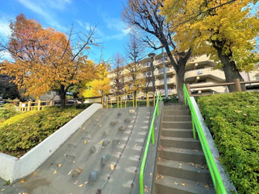 文京区立清和公園の画像3