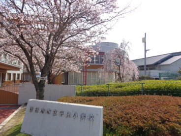 平良小学校の画像3