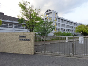 野坂中学校の画像5